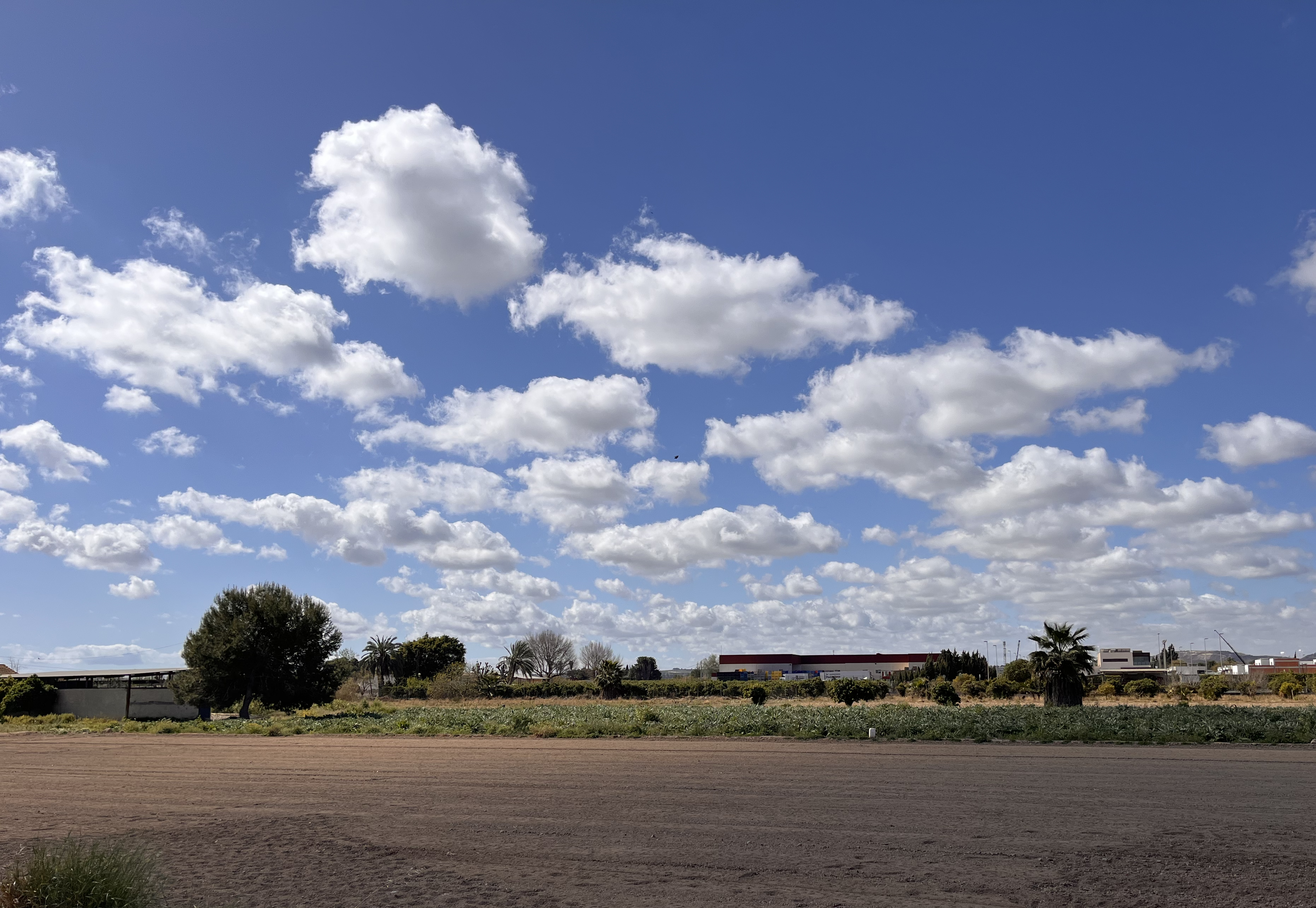 Wolken